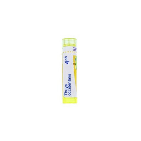 Boiron Thuya Occidentalis 4ch Granuli