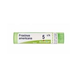 Boiron Fraxinus Americana 5ch Granuli