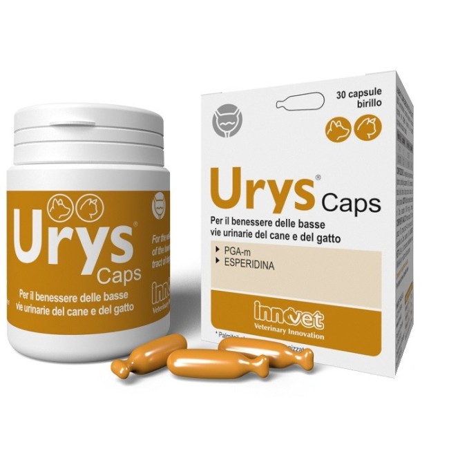 Innovet Italia Urys Caps mangime complementare 30 Capsule Innovet Italia Urys Caps mangime complementare 30 Capsule