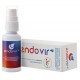 Magi Endovir spray orale protettivo della mucosa 20 ml