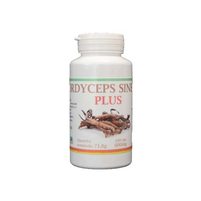 Atena Bio Cordyceps Plus Integratore 100 capsule Atena Bio Cordyceps Plus Integratore 100 capsule