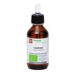 Fitomedical Carpino Macerato Glicerinato Bio 100 Ml