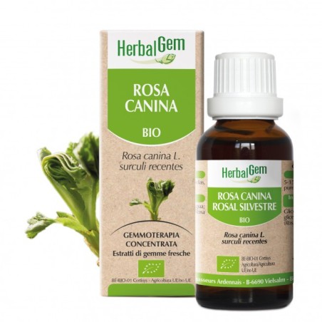 Herbalgem Macerato Glicerinato Bio Rosa Canina 15 Ml Herbalgem Macerato Glicerinato Bio Rosa Canina 15 Ml