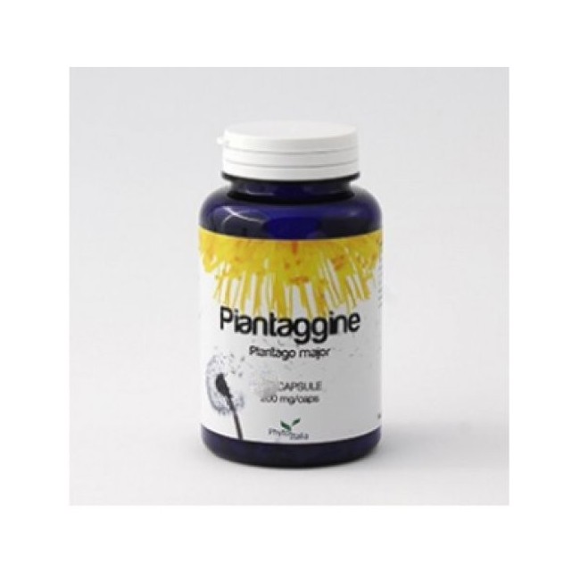 Phytoitalia Piantaggine integratore 60 Capsule Phytoitalia Piantaggine integratore 60 Capsule