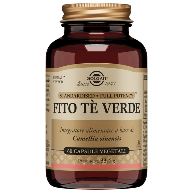 Solgar Fito Te Verde 60 Capsule 6 Pezzi Solgar Fito Te Verde 60 Capsule 6 Pezzi