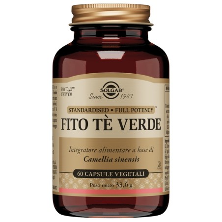 Solgar Fito Te Verde 60 Capsule 6 Pezzi Solgar Fito Te Verde 60 Capsule 6 Pezzi