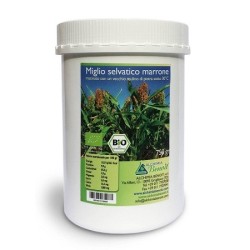 Alchimia Benoit Miglio Selvatico marrone polvere 750 G