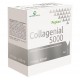 Aqua Viva Collagenial 5000 Integratore 10 Fiale da 25 Ml