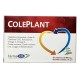 Coleplant 30 compresse