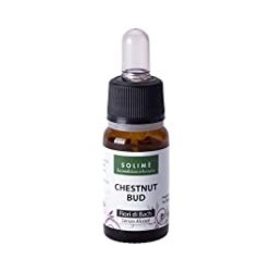 Solime' Chestnut Bud 10 Ml