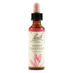 Schwabe pharma Sweet chestnut bach original 20ml