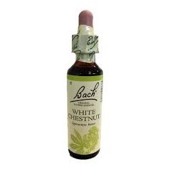 Schwabe pharma White chestnut bach original 20ml