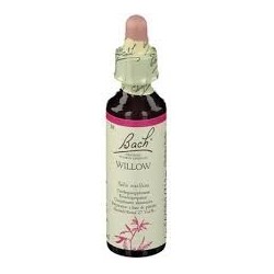 Schwabe pharma Willow bach original 20ml
