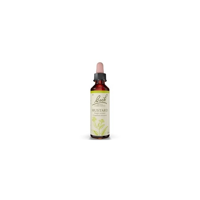 Schwabe pharma Mustard bach original 20ml