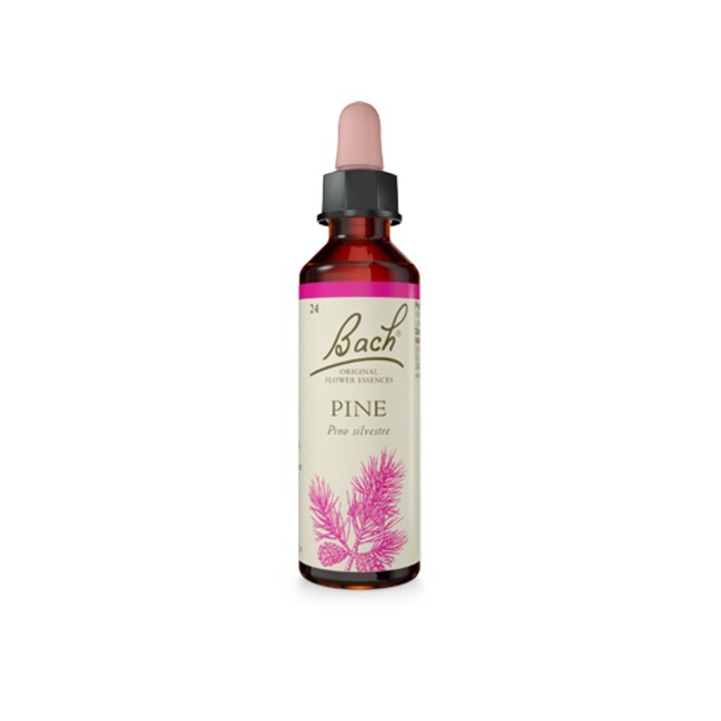 Schwabe pharma Pine bach original 20ml
