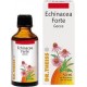 Theiss echinacea forte gocce 50ml