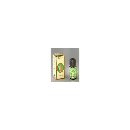 Flora Cedro Olio Essenziale Spont 10 Ml Flora Cedro Olio Essenziale Spont 10 Ml
