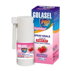 Sella Golasel Pro Spray Junior con ribes e miele 20Ml
