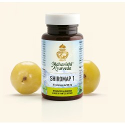 Map Italia Shiromap 1 60 Compresse