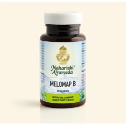 Melomap B Polvere 30g