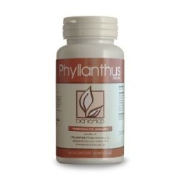 Dab 007 phyllanthus+ integratore 60 compresse