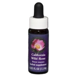 Natur California Wildrose 7,4ml essenza californiana