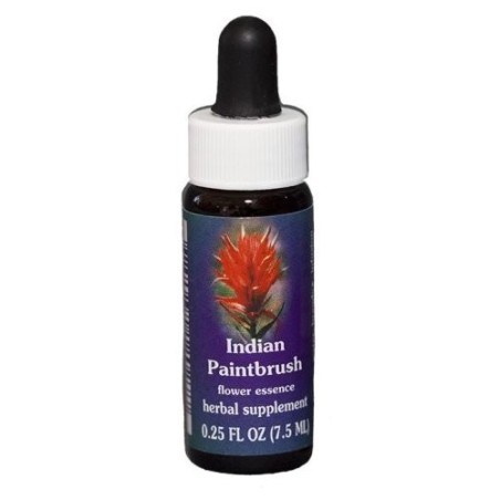Natur Indian paintbrush essenza californiana 7,4 ml Natur Indian paintbrush essenza californiana 7,4 ml