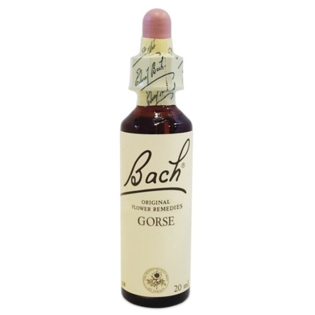 Bach Center Essenza Gorse 20ml