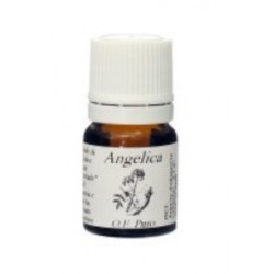 Natur Angelica olio essenziale gocce 7,4 ml