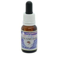 Essenza singola himalaya enhancers - sat-chit-ananda 15 ml