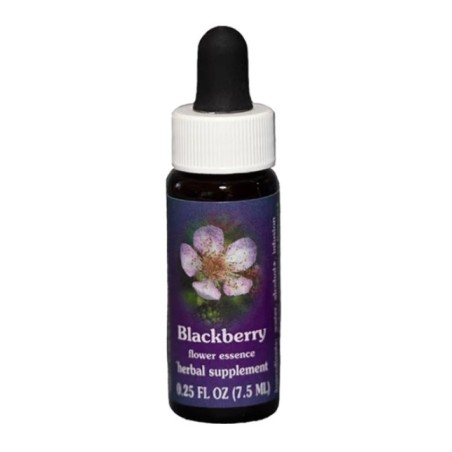 Natur Blackberry Essenza 7,4ml Calf