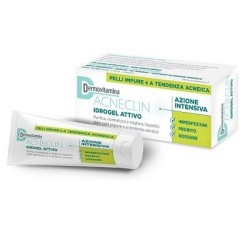 Dermovitamina Acneclin Idrogel 40ml