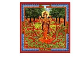 Aurum Triphaurum gocce 30 ml