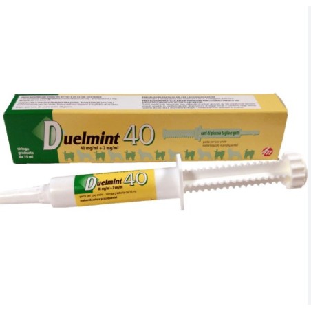 Ati srl Duelmint 40 verde Siringa 15ml Ati srl Duelmint 40 verde Siringa 15ml