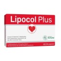 Lipocol Plus 30 Compresse Lipocol Plus 30 Compresse
