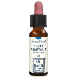 Erba Vita Italia Sweet Chestnut Original 10 Ml