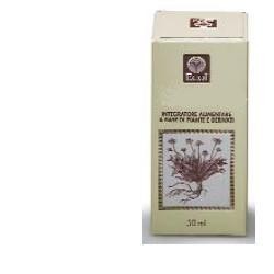 Ecol Equiseto Estratto Analcolico gocce 50 Ml