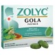 Shedir Pharma Zolyc Gola Mentolo eucalipto 36 Pastiglie