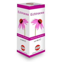 Kos Echinacea Soluzione Idroalcolica Pianta Fresca 100 Ml