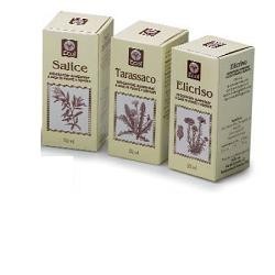 Ecol Te Verde integratore gocce 50 Ml