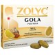 Shedir Pharma Zolyc Gola Miele e limone 36 Pastiglie