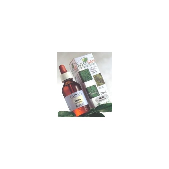 Sangalli Betulla Foglie Tintura Madre 100 Ml