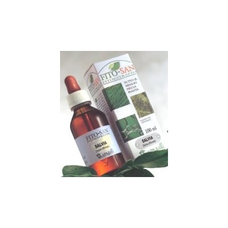 Sangalli Betulla Foglie Tintura Madre 100 Ml