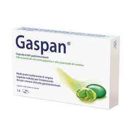 Schwabe Gaspan 14 Capsule di olii essenziali