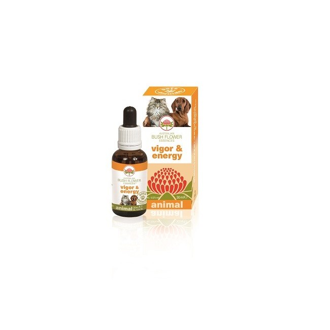 Bush Biotherapies Vigor & Energy gocce Bush Biotherapies Vigor & Energy gocce