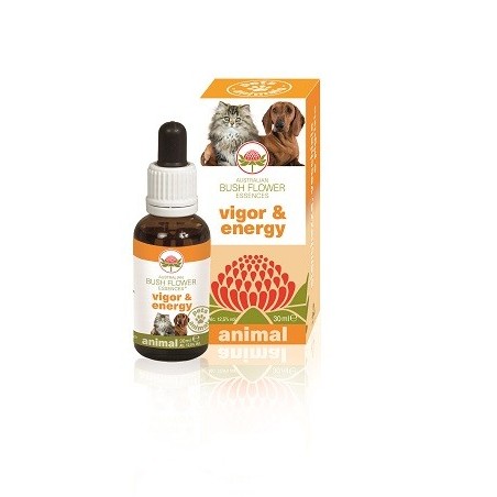 Bush Biotherapies Vigor & Energy gocce