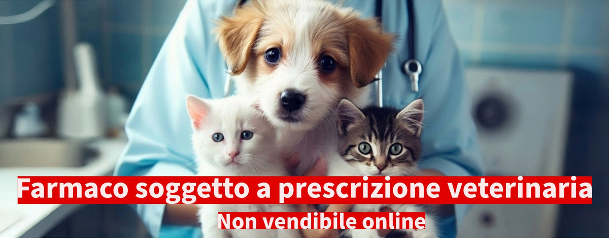 Afoxolaner: un antiparassitario per cani e gatti