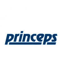 Princeps srl