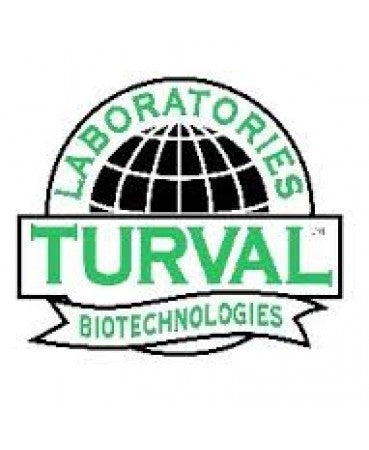 Laboratori Turval
