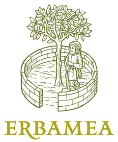 Erbamea